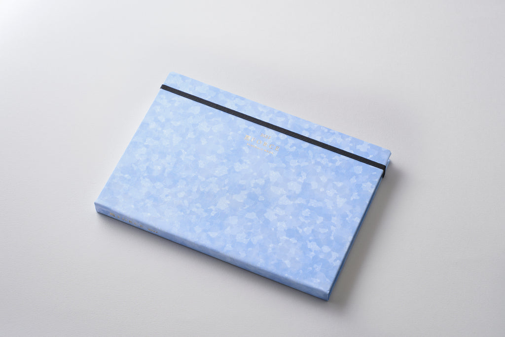 FORCE Schedule Book 2027 Sky Blue Stride