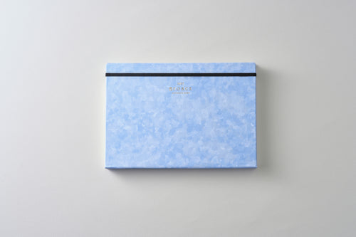 FORCE Schedule Book 2027 Sky Blue Stride